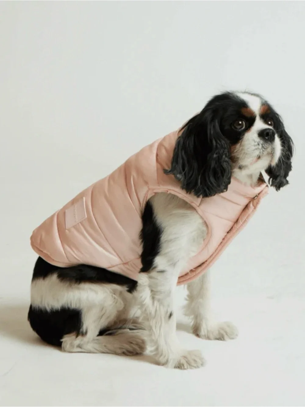 Maxbone Arabella Pink Metallic Dog Puffer Vest Size M